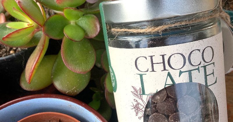 Tarro de Chocolate a la taza MIGAYA ARTESANO y suculenta